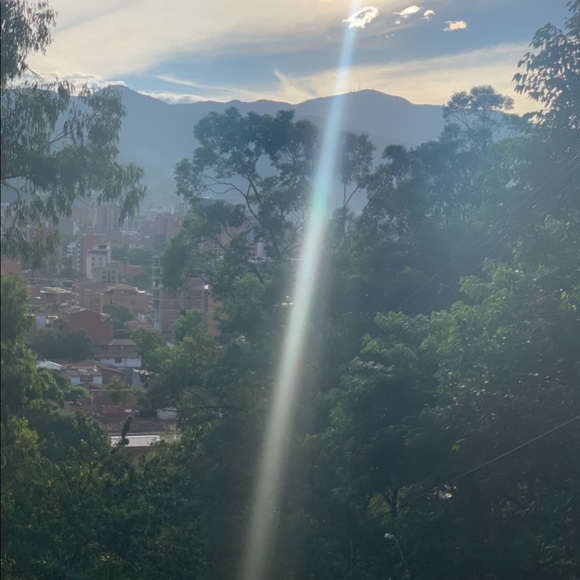 Meet your Posher, Sandra - Picture 3 of 3